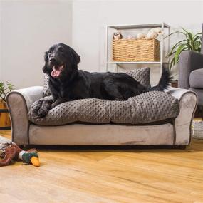 img 1 attached to Comfortable and Stylish Keet Westerhill Pet Sofa Bed - Ideal for Your Furry Friend