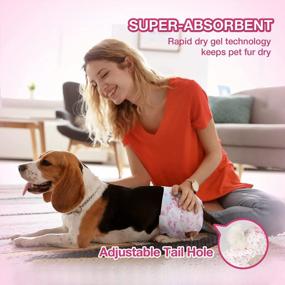 img 2 attached to Say Goodbye To Mess: Dono Super Absorbent Dog Diapers For Females With Flash Dry Gel Technology For A Leak-Proof Fit!