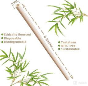 img 3 attached to 🎋 Ibambo 100 Pack Disposable Bamboo Straws: Compostable, Single Wrapped, 8 inch Eco-Friendly Straws for Hot & Cold Drinks at Restaurants, Bars, or Home