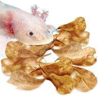 🍃 sungrow axolotl indian almond leaves: all-natural aquarium water conditioner promoting recovery, soothing slime skin - 50 leaves per pack logo