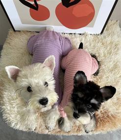 img 1 attached to 🐶 KILLUA Knitted Dog Pajamas Sweater - Turtleneck Winter Clothes for Puppy, Thermal Doggie Knitwear, Pet Coats & Cat Apparel