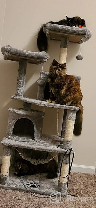 img 1 attached to 🐱 Ultimate Cat Playground: BEWISHOME Cat Tree with Scratching Posts, Condos, Perches, Balls, Hammock – Brown MMJ01Z review by Dana Schmidt