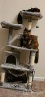 img 1 attached to 🐱 Ultimate Cat Playground: BEWISHOME Cat Tree with Scratching Posts, Condos, Perches, Balls, Hammock – Brown MMJ01Z review by Dana Schmidt