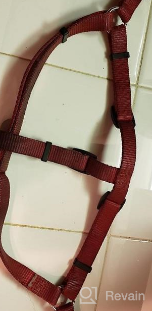 img 1 attached to Adjustable Nylon Dog Harness With ID Tag For Comfortable And Safe Outdoor Walks - PUPTECK No-Pull Puppy Vest review by Melanie Lang