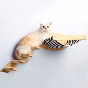 img 3 attached to 🐾 Ultimate Cat Wall Furniture: Stair Shelf, Hammock Perch, and Climbing Fun for Large Cats or Kittens - Sisal Wall Perches for Scratching, Playing, and Relaxing