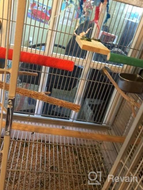 img 1 attached to Natural Wood Bird Perch Stand Platform With Nail Trimmer And Paw Grinding Stick For Parakeets, Cockatiels, Lovebirds - GAGILAND Cage Accessories (Random Color) review by Ron Chang