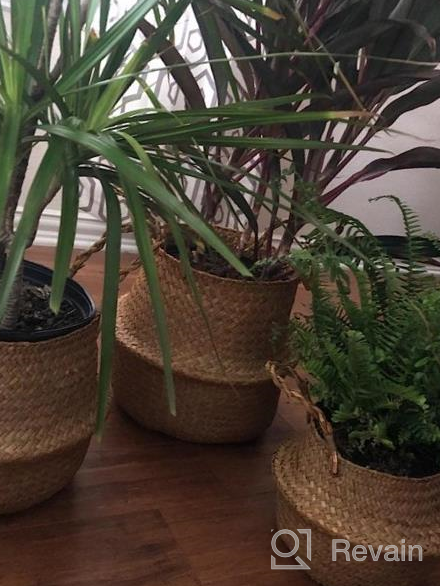 img 1 attached to 3 Pack Foldable Woven Seagrass Plant Basket With Handles - Ideal For Storage, Laundry, Picnic & More! review by Casey Tatum