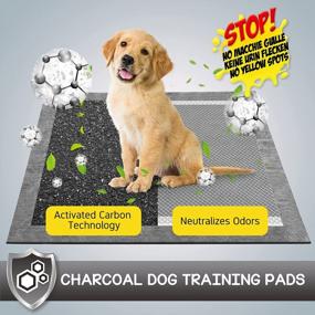 img 3 attached to 🐾 CROCI Charcoal Puppy Pads - 23x24 Inch Training Pads with Odor-Control Carbon Technology, Absorbs 4 Cups of Liquid, 6-Layer Leak-Proof & Quick Dry, Disposable (100 Counts)