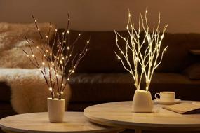 img 2 attached to 70 LED Battery Operated Twig Branches - Fairy Lights For Home Winter Christmas Decorations Indoor/Outdoor Use