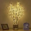 70 led battery operated twig branches - fairy lights for home winter christmas decorations indoor/outdoor use logo