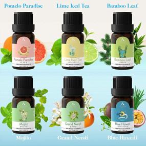 img 2 attached to ASAKUKI Summer Vibe Essential Oil Blend For Diffusers And Humidifiers - Neroli, Pomelo, Lime, Beach, Bamboo, Peppermint Aromatherapy Oils For A Clean And Fresh Scented Atmosphere - 6 X 10Ml Bottles