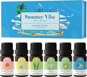 img 4 attached to ASAKUKI Summer Vibe Essential Oil Blend For Diffusers And Humidifiers - Neroli, Pomelo, Lime, Beach, Bamboo, Peppermint Aromatherapy Oils For A Clean And Fresh Scented Atmosphere - 6 X 10Ml Bottles
