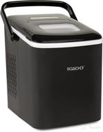 igloo self cleaning countertop portable produces logo