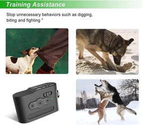 img 2 attached to 🐶 YQGWVFI Sonic Anti-Barking Device: Rechargeable Ultrasonic Dog Bark Deterrent, Indoor and Outdoor Universal - 2 Modes: Automatic & Manual Training