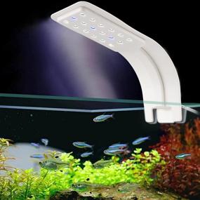 img 2 attached to 🐠 Water Rebirth Aquarium LED Light Clip-On, Fish Tank Lighting with White and Blue LEDs, Small LED Aquarium Light for Freshwater Tank, 2 Lighting Modes (Black with Base Clamp)