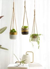 img 2 attached to Dahey 3 Pack Small Cement Hanging Planter Succulent Pots With Jute Rope Hanger Modern Mini Concrete Flower Pots Indoor For Cactus Herb Or Small Plants Home Decor, 3 Inch