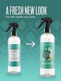 img 2 attached to 🍐 Caldrea Luxe Pear Blossom Agave Linen and Room Spray Air Freshener, Infused with Essential Oils, Plant-Derived Ingredients, 16 oz (Packaging May Vary)