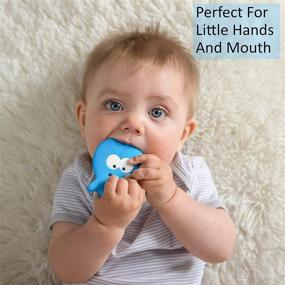 img 2 attached to 🐙 BPA Free Silicone Teething Toy for Boys - Easy Grip, Soft and Bendable Octopus Teether - Highly Effective for Freezing, Cooling - Suitable for 3, 6, 12 Months and 1 Year Olds