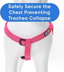 img 2 attached to Pawtitas Reflective Step-In Dog Harness And Vest Combo: Comfortable And Safe For Your Puppy'S Training And Walks - XS Pink