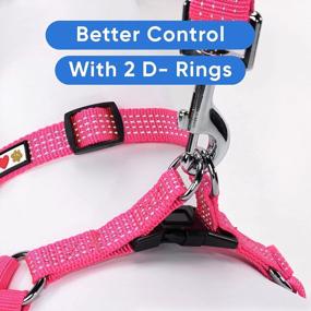 img 1 attached to Pawtitas Reflective Step-In Dog Harness And Vest Combo: Comfortable And Safe For Your Puppy'S Training And Walks - XS Pink