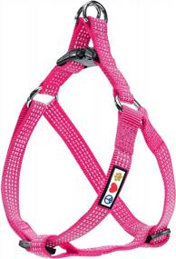img 4 attached to Pawtitas Reflective Step-In Dog Harness And Vest Combo: Comfortable And Safe For Your Puppy'S Training And Walks - XS Pink