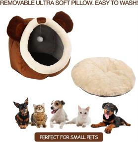 img 1 attached to 🐱 Indoor Cat Beds - Removable Washable Cat Bed Cave with Cushioned Pillow, Premium Soft Plush Cotton Pet Bed, Roomy Bear Cat House Design, Multiple Sizes-L