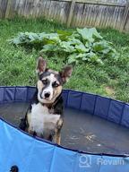 img 1 attached to 🐶 Jasonwell Foldable Dog Pet Bath Pool - Collapsible Kiddie Pool for Dogs, Cats, and Kids (48inch.D x 11.8inch.H, Grey) review by Frankye Sherman