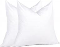 set of 2 white 20x20 natural goose feather throw pillow inserts for couches, chairs, offices and apartments décor logo