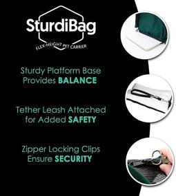 img 2 attached to 🐾 High-Quality SturdiBag Pet Carrier, Large Size, Navy - Perfect for Travel!