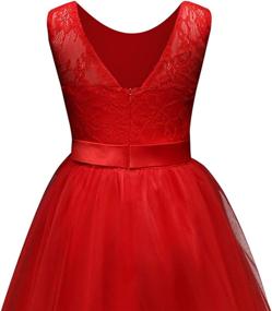 img 1 attached to 👗 TTYAOVO Embroidered Chiffon Pageant Wedding Dresses for Girls' Clothing