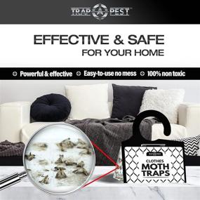 img 3 attached to 👕 Premium Non-Toxic Clothing Moth Traps - 8 Pack | Effective Pheromone Attractant for Clothes | Odorless Sticky Traps for Closet & Carpets