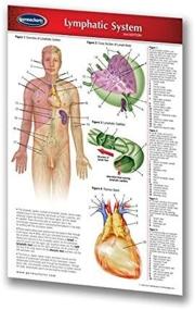 img 2 attached to Permacharts Lymphatic System Pocket Chart Guide - 4.5" X 6.75" Laminated Medical Quick Reference Guide.