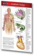 permacharts lymphatic system pocket chart guide - 4.5" x 6.75" laminated medical quick reference guide. logo