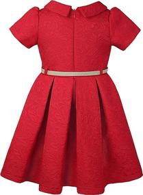 img 3 attached to 👗 Lilax Little Flocked Occasion Shimmer Dresses for Girls' Clothing