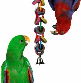 img 4 attached to 🐦 Optimized Super Bird Creation SB626 Hoopla Bird Toy, Ideal for Medium/Large Birds, Size 15" x 2.5