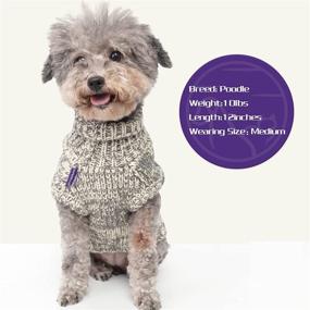 img 2 attached to Cyeollo Dog Sweater: Thick & Cozy Turtleneck Knitwear for Small to Medium Dogs - Warm Winter Clothes