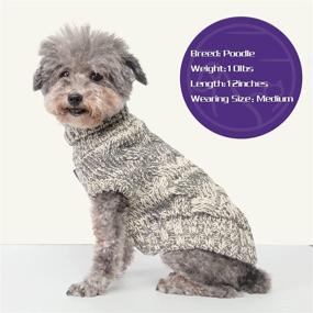 img 1 attached to Cyeollo Dog Sweater: Thick & Cozy Turtleneck Knitwear for Small to Medium Dogs - Warm Winter Clothes