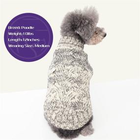 img 3 attached to Cyeollo Dog Sweater: Thick & Cozy Turtleneck Knitwear for Small to Medium Dogs - Warm Winter Clothes