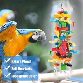 img 3 attached to 🐦 Optimized Search: Multi-Colored Wood Block Tear Toys for African Grey, Conure, and Amazon Parrots - Canada's Finest Bird Toys