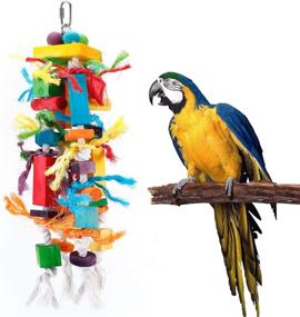 img 4 attached to 🐦 Optimized Search: Multi-Colored Wood Block Tear Toys for African Grey, Conure, and Amazon Parrots - Canada's Finest Bird Toys