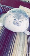 img 1 attached to Large Gray Rainlin Chubby Blob Seal Plush Toy - Cute Ocean Animal Stuffed With Soft Cotton (23.6 Inches) review by Brent Saake