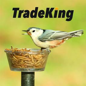 img 1 attached to 🐦 TradeKing 2 lb Dried Mealworms: Nutrient-packed Treat for Wild Birds, Chicken, Fish & Reptiles
