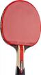 unleash your inner champion with the stiga torch red table tennis racket logo