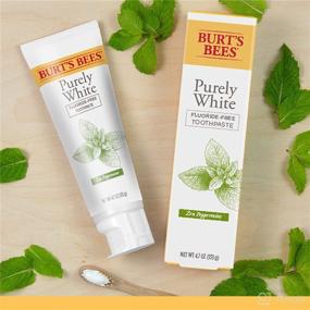 img 2 attached to Burt's Bees Fluoride Peppermint Toothpaste: Natural Dental Care at its Best!