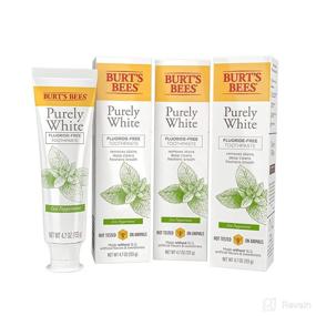 img 4 attached to Burt's Bees Fluoride Peppermint Toothpaste: Natural Dental Care at its Best!