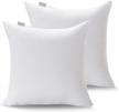 acanva decorative throw pillow inserts for sofa, bed, couch and chair, square euro sham form stuffer with premium polyester microfiber, 2 count (pack of 1), white logo