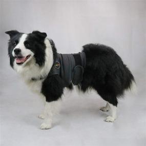 img 3 attached to 🐶 MCHY Dog Anxiety Vest: Effective Anxiety Relief for Dogs with Calming Coat