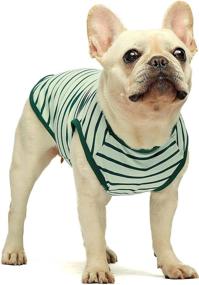 img 1 attached to 🐾 Fitwarm 2-Pack Cotton Striped Dog Shirt, Pet Clothes Puppy T-Shirts, Cat Tee Breathable Stretchy - Dark Green, Size Medium