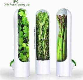 img 2 attached to 🌿 The Ultimate Premium Fresh Herb Keeper: Extend the Lifespan of Cilantro, Mint, Parsley, and Asparagus with our Herb Savor Pod Greens Storage Container