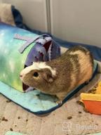 img 1 attached to Transform Pet'S Cage With HOMEYA Small Animal Tunnel - Perfect Toy And Hideout For Hamsters And Guinea Pigs - Removable And Reversible Bedding For Rats, Hedgehogs, Sugar Gliders And Chinchillas review by Vinay Mickel